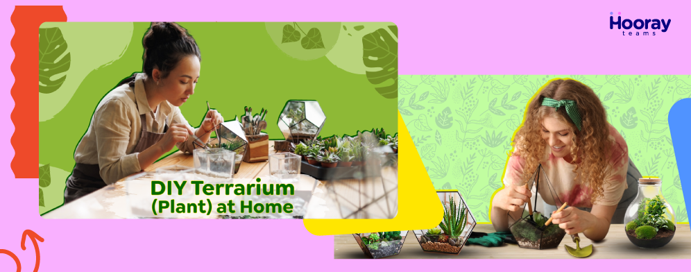 DIY Terrarium Making